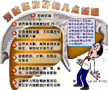 肥胖型脂肪肝 肥胖型脂肪肝