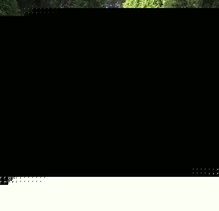 丝袜哥 丝袜哥