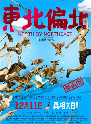 张优