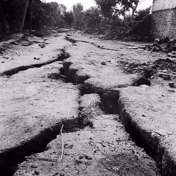 广州大地震 广州大地震