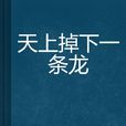 天上掉下一条龙 天上掉下一条龙