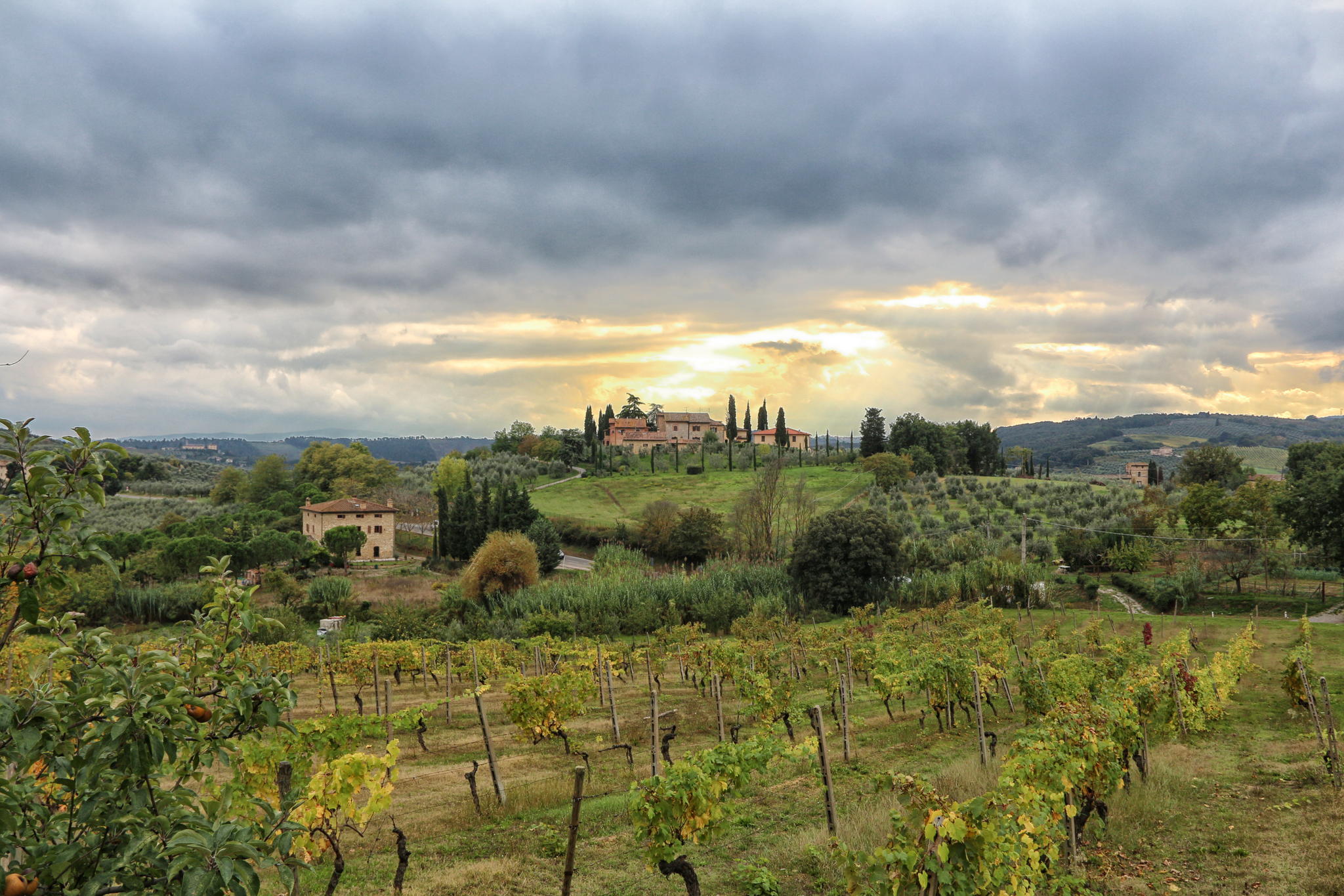 toscana toscana