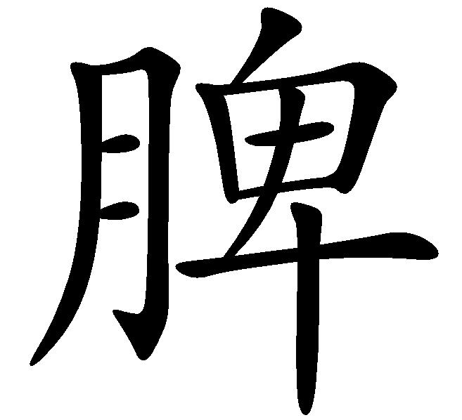 脾(汉字) 脾(汉字)
