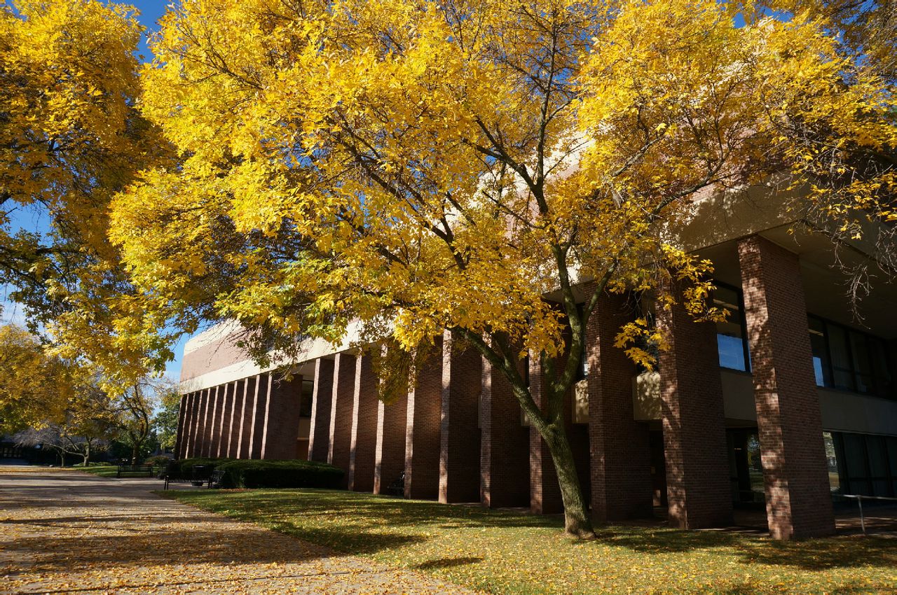 Library  of Science and Medicine