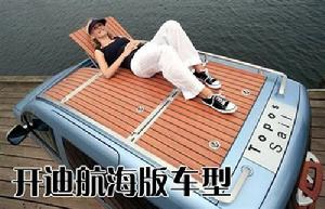 大众开迪 大众开迪