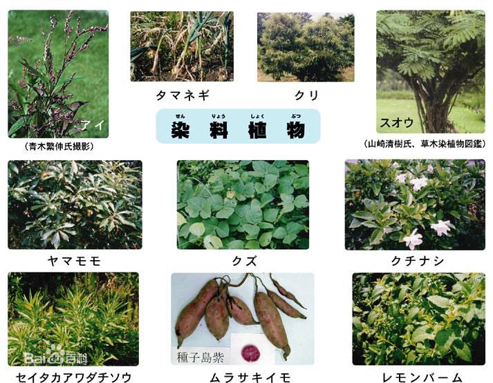 植物染料 植物染料