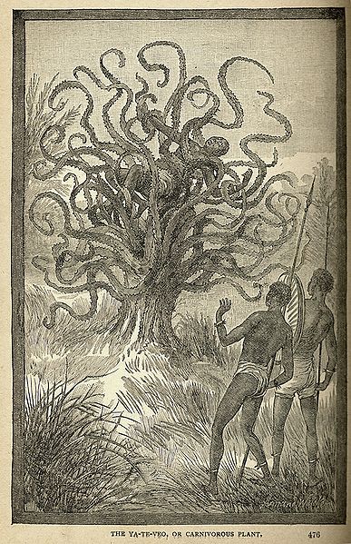 1887年,所谓来自美洲中部的食人树 1887年,所谓来自美洲中部的食人树