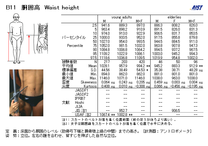 腰节点高 腰节点高
