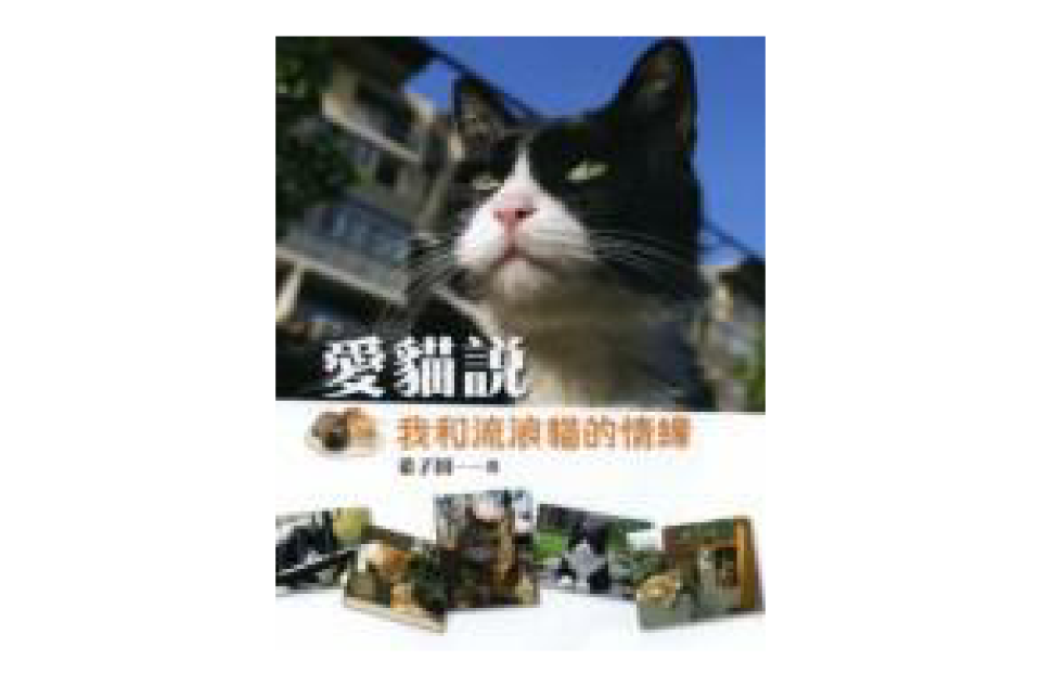 爱猫说 爱猫说