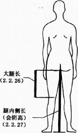 大腿长 大腿长