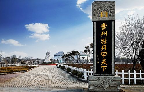 曹州牡丹甲天下 曹州牡丹甲天下