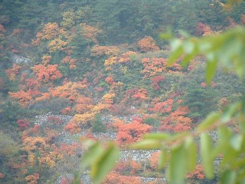 虎头山 虎头山
