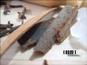 玉桂 玉桂