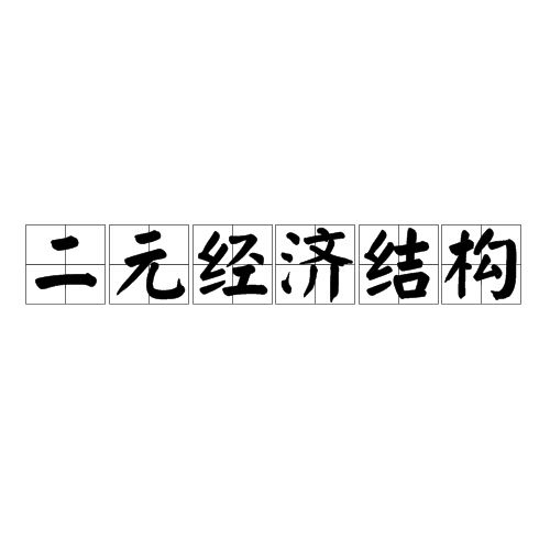 二元经济结构 二元经济结构