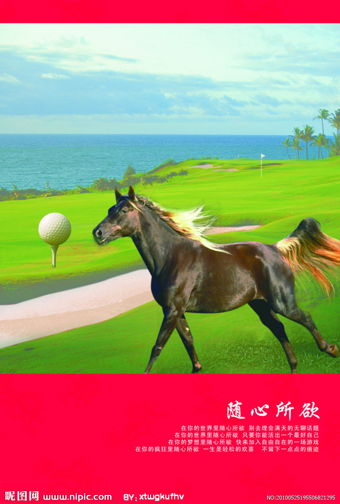 随心所欲 随心所欲