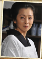 鸢(日本2013年佐藤健、内野圣阳主演电视剧)