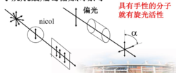 偏振光 偏振光