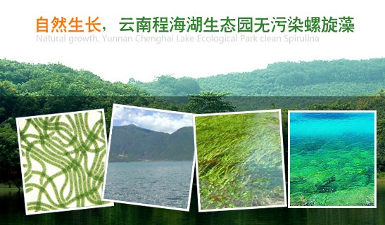 云南程海 云南程海