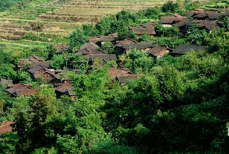 隆林各族自治县(隆林县)