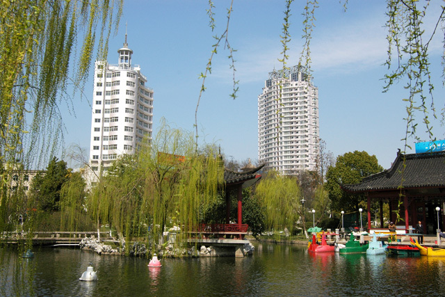 桐乡 桐乡