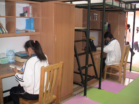 学生在四人房间内学习 学生在四人房间内学习