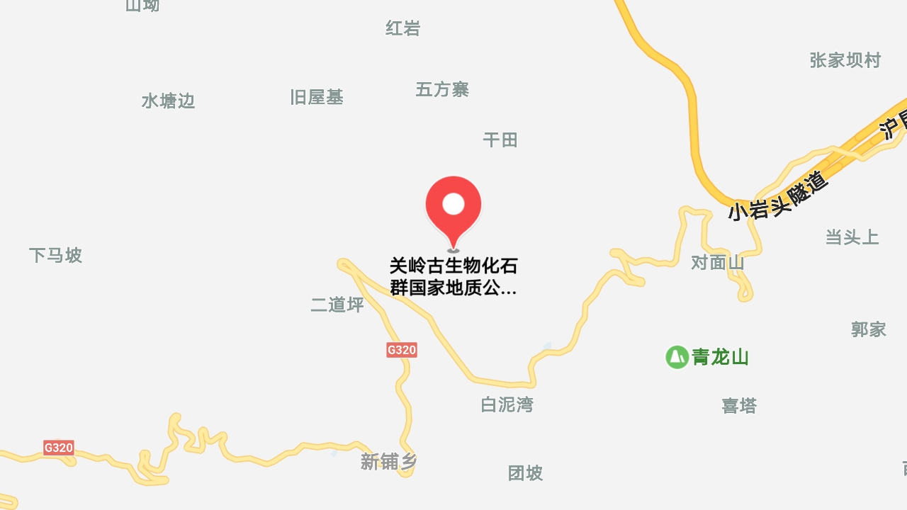 地图信息