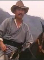 马如风