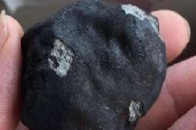 顽辉橄榄球粒陨石 顽辉橄榄球粒陨石