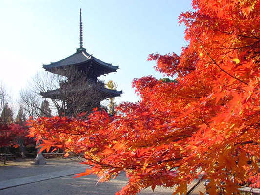 五重塔 五重塔