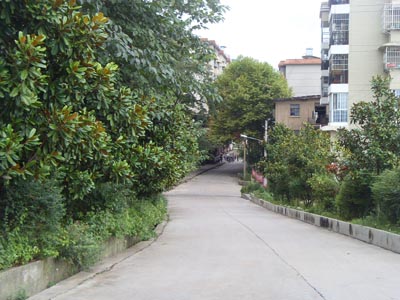 棉花社区 棉花社区