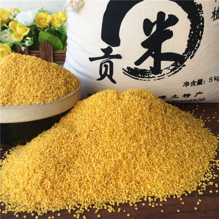 蔚州贡米 蔚州贡米