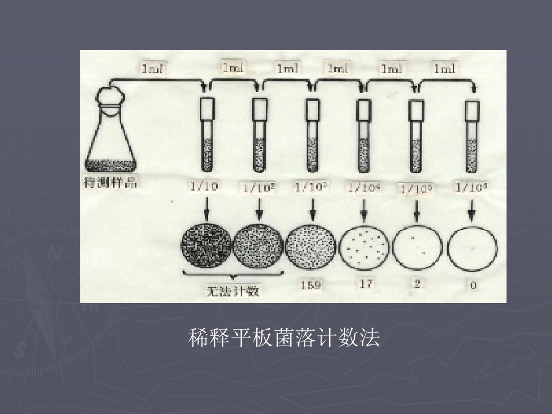 平板菌落计数法 平板菌落计数法