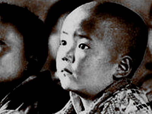 小光头 小光头