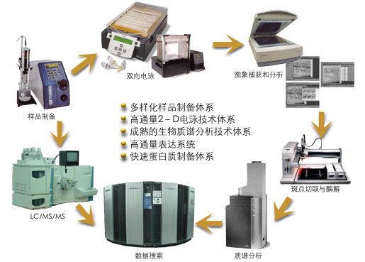 蛋白质组研究技术 蛋白质组研究技术