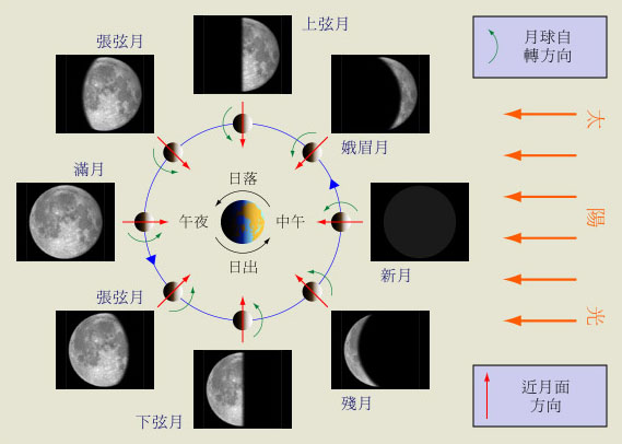 月相变化图 月相变化图