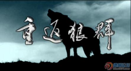 格林(一只与人结缘的奇狼) 格林(一只与人结缘的奇狼)
