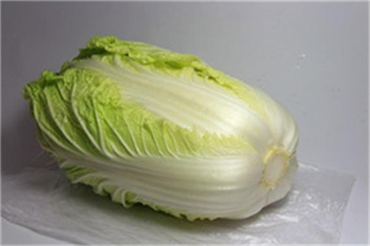 疏勒大白菜 疏勒大白菜