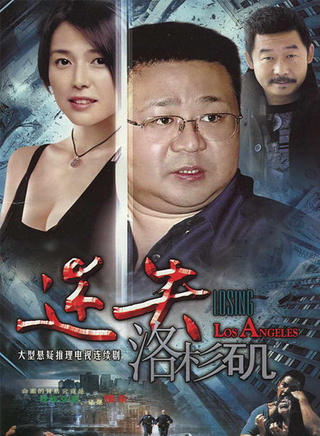 安雅(中国台湾女演员)