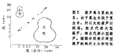 生长 生长