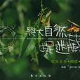 与大自然捉迷藏1 与大自然捉迷藏1