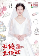 求婚大作战(中国2017年张艺兴、陈都灵主演电视剧)