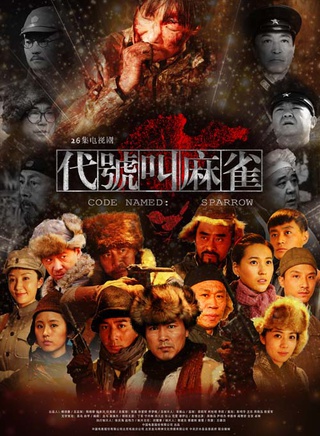 丹琳(宁丹琳)