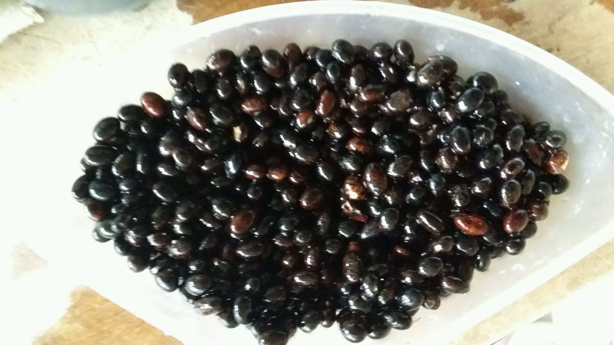盐水黑豆 盐水黑豆