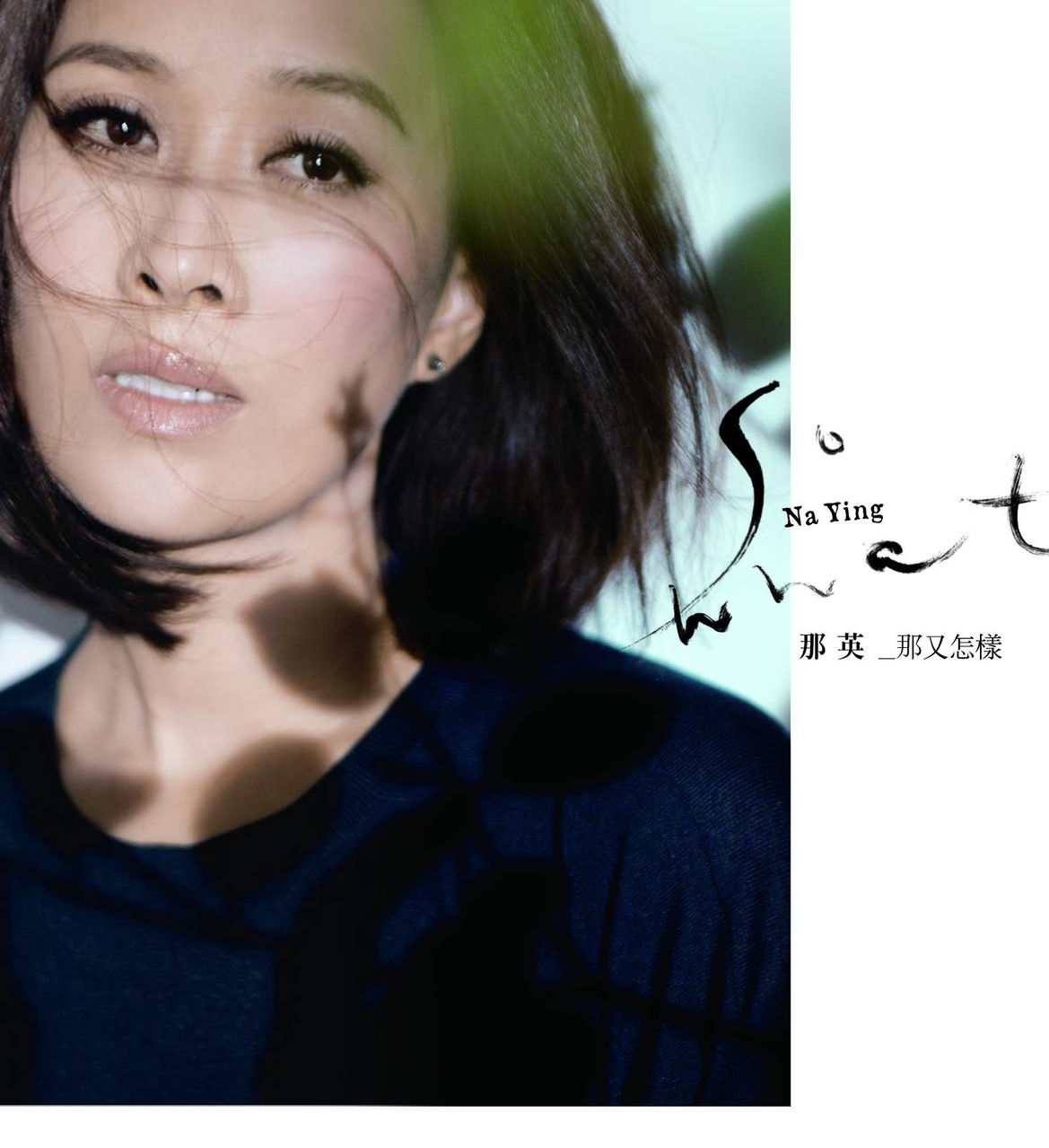 长镜头(那英演唱歌曲) 长镜头(那英演唱歌曲)
