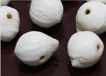 菩提子(植物) 菩提子(植物)