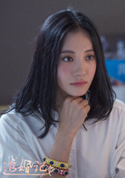 追婚记