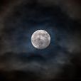 月圆之夜(月亮变圆的夜晚) 月圆之夜(月亮变圆的夜晚)