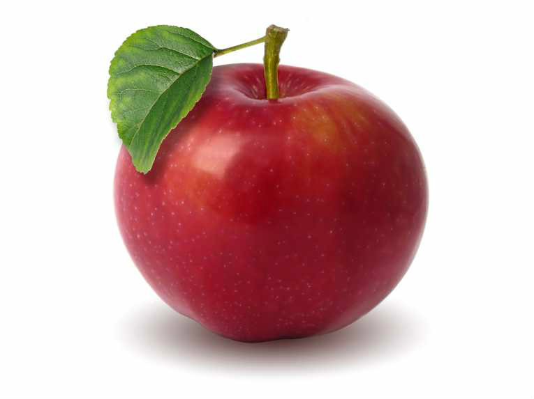 APPLE(英语单词) APPLE(英语单词)