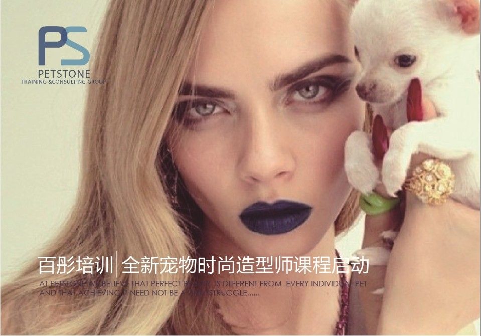 上海百彤管理谘询有限公司 上海百彤管理谘询有限公司