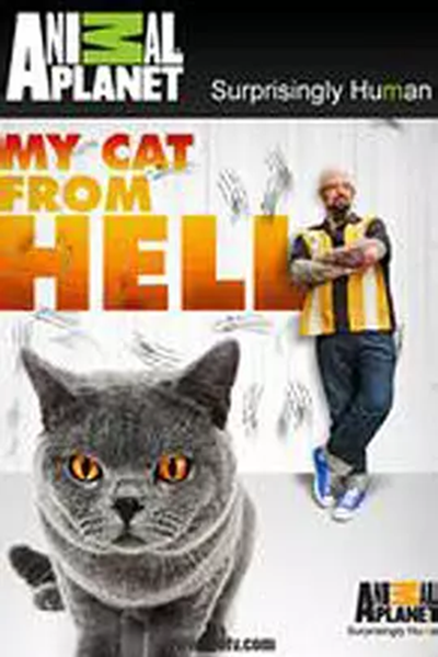 家有恶猫第一季 家有恶猫第一季